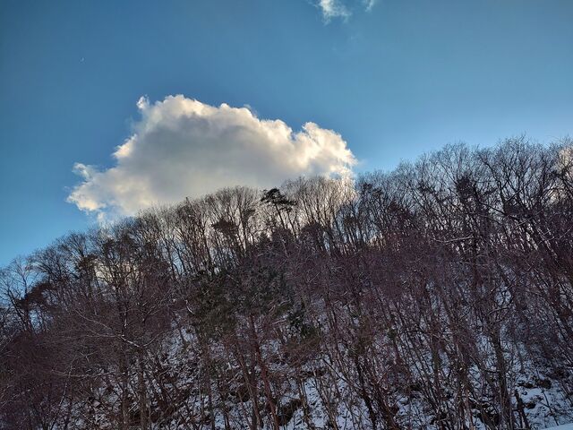 IMG_20220205_161051752_HDR