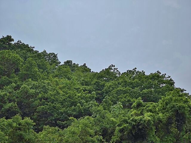 IMG_20220521_131226992