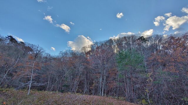 IMG_20221126_145758357_HDR