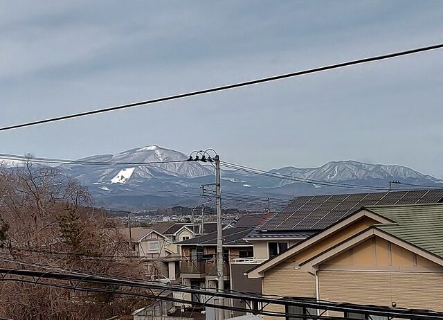 IMG_20220213_103521518_HDR