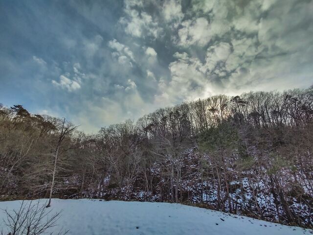 IMG_20220129_141844444_HDR_edited