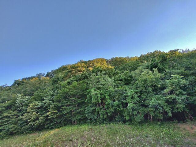IMG_20220701_182644552_HDR