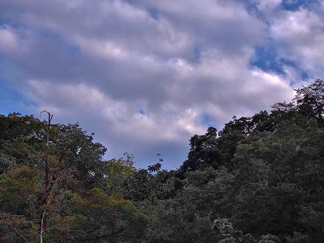 IMG_20221010_155400709