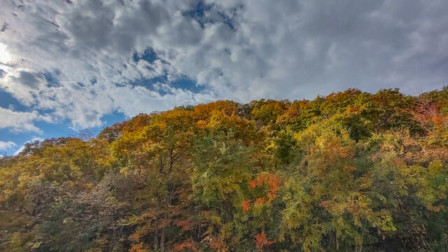 IMG_20221105_101933635_HDR_edited_ex