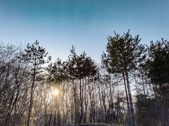 IMG_20220416_171646193_HDR_edited