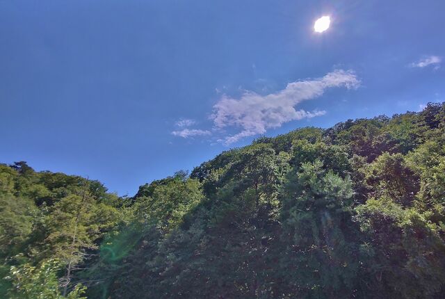 IMG_20220821_135733991_HDR