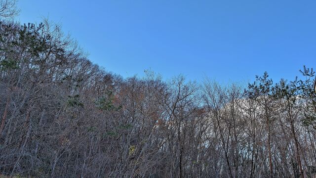 PXL_20251201_014924202