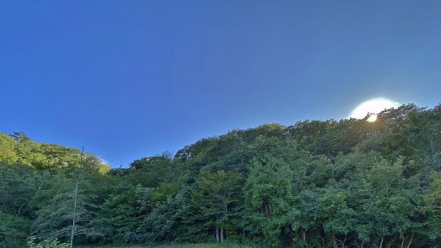 IMG_0017 (640x360)