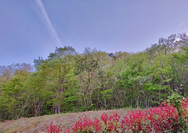 IMG_20220428_175529167_HDR