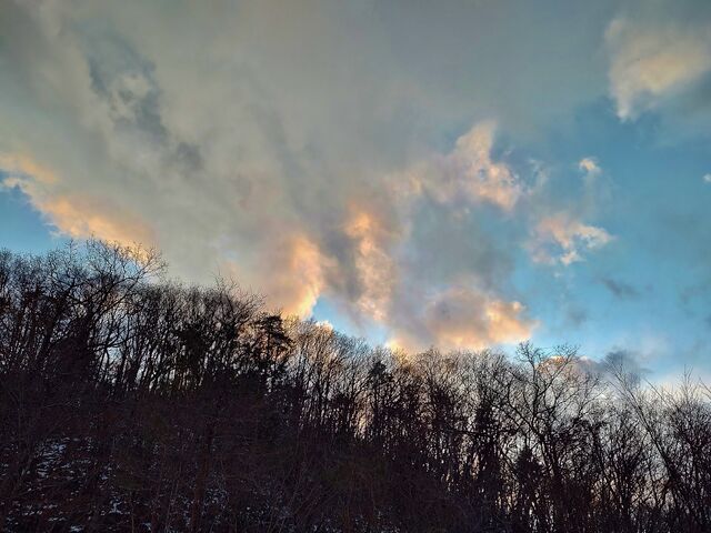 IMG_20220131_164055220_HDR