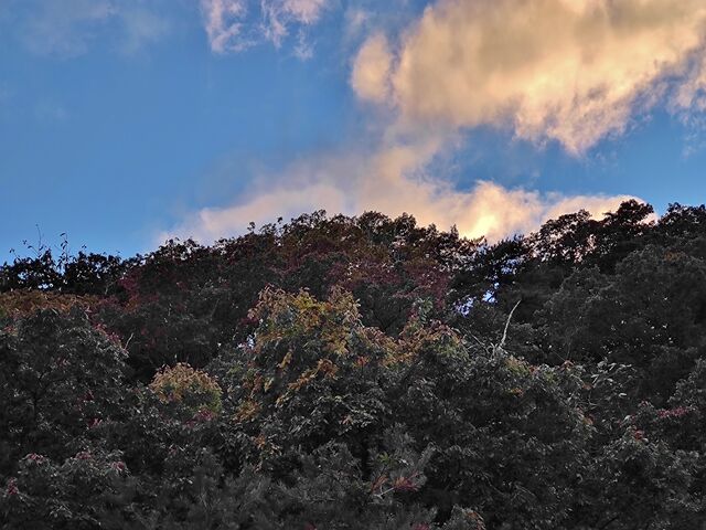 IMG_20221030_161854925