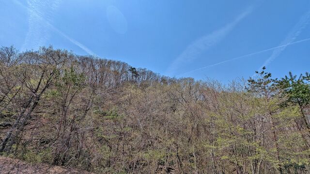 PXL_20250419_020117880
