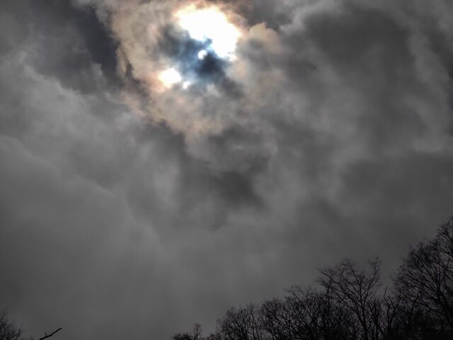 IMG_20220206_113543255