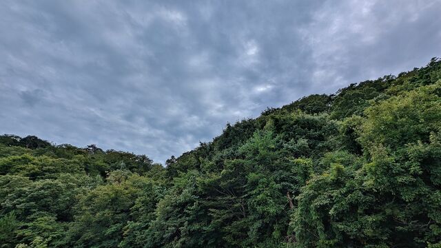 PXL_20250908_061654654