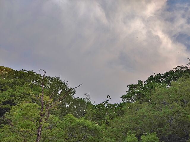 IMG_20220509_181210818