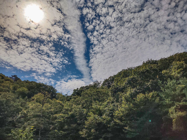 IMG_20220925_100555464_HDR_edited