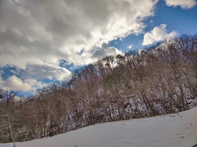 IMG_20220206_142710640_edited