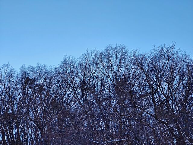 IMG_20220205_142023953