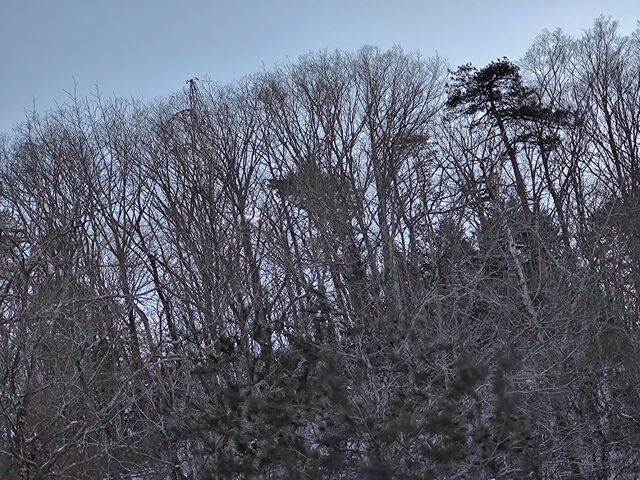 IMG_20220223_155208252