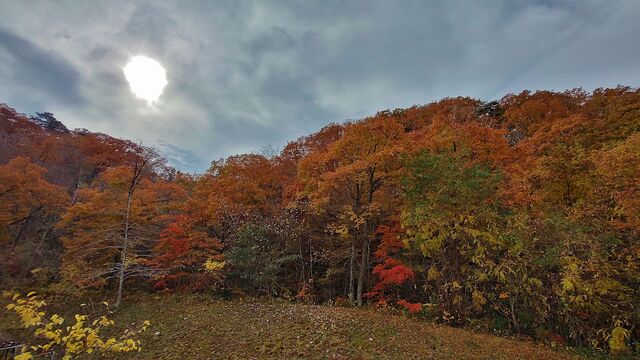 IMG_20221113_101330955_HDR