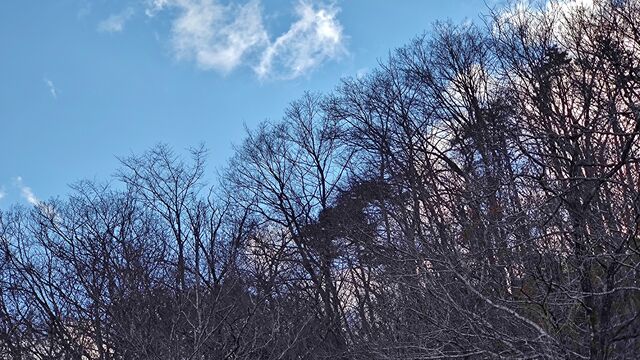 IMG_20221230_143726715