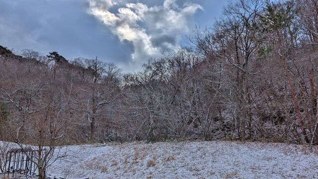 PXL_20260122_012152693