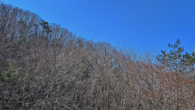 PXL_20260312_020001624