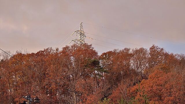 IMG_20221122_064208394