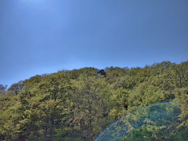 IMG_20220504_113440070_HDR