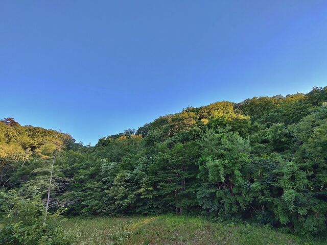 IMG_20220701_182634439_HDR