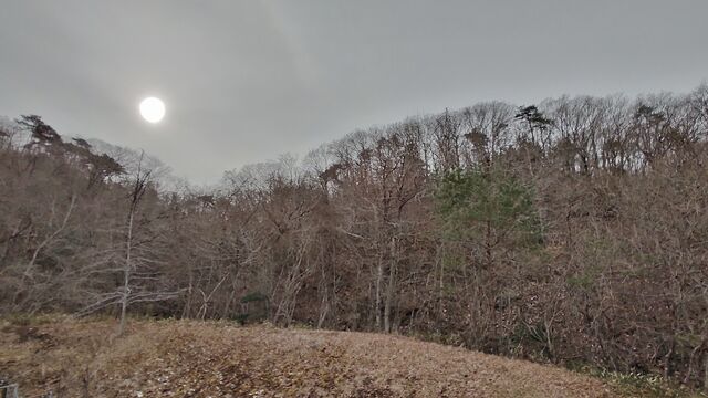 IMG_20230107_103458906_HDR
