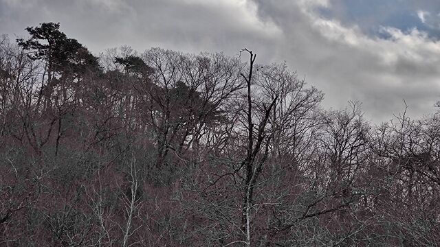IMG_20221204_144718773-01