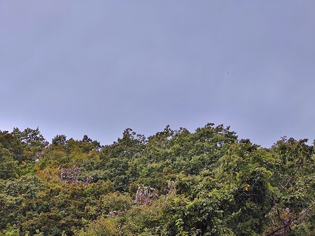 IMG_20221022_113603438