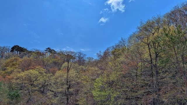PXL_20260416_021214613 (640x360)