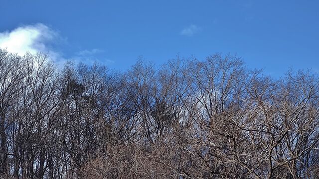 IMG_20221230_102040189