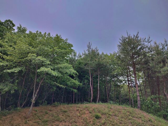 IMG_20220521_130242990_HDR