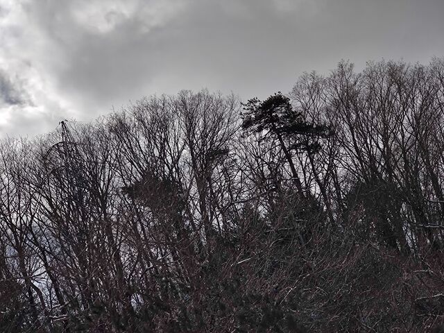 IMG_20220223_122142344