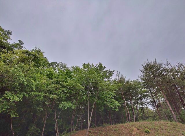 IMG_20220516_171035435_HDR