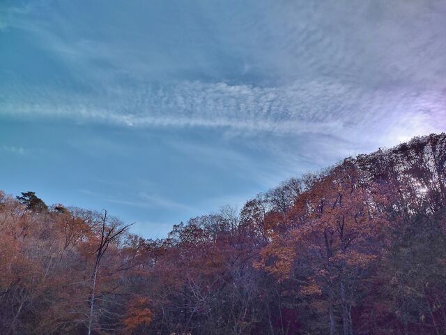 IMG_20211120_135137868_HDR