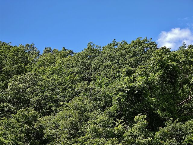 IMG_20220528_104835722