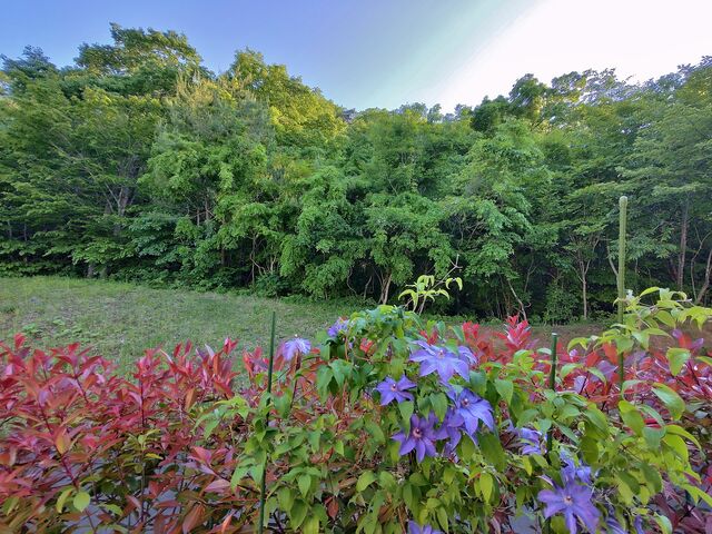 IMG_20220524_172635271_HDR