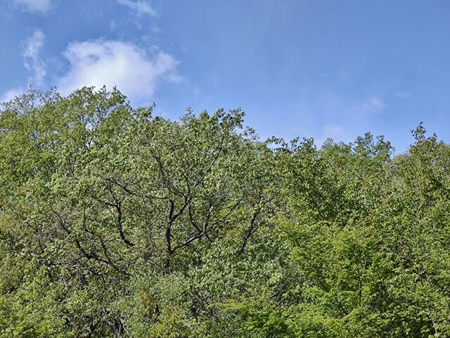 IMG_20220503_101523773