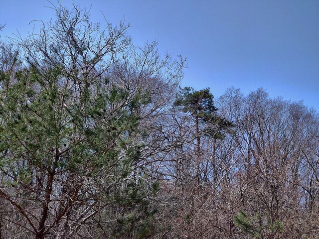 IMG_20220410_100039362_HDR