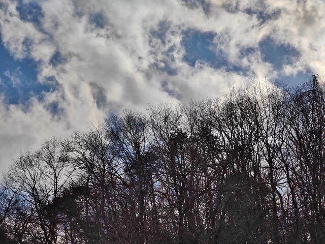 IMG_20220206_142505653