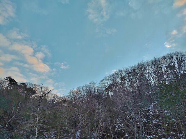 IMG_20220129_164022161