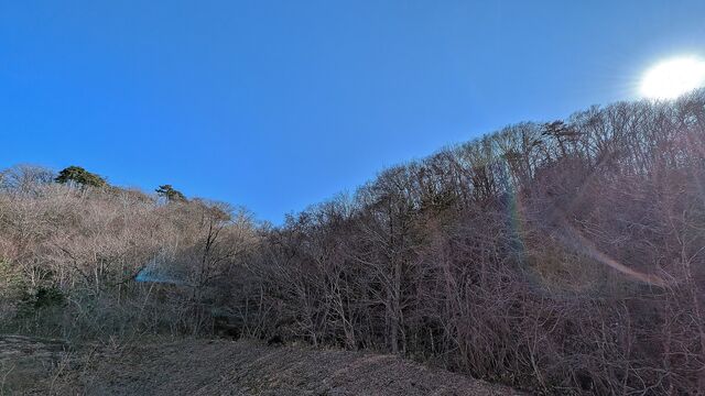 PXL_20250309_060454267