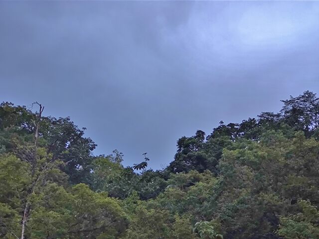 IMG_20220901_180248411