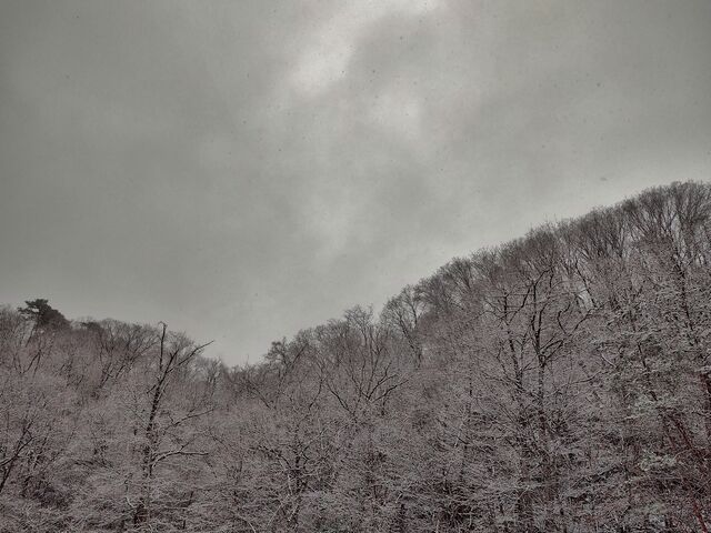 IMG_20220322_134338318_HDR