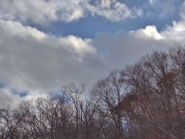 IMG_20220205_150658208