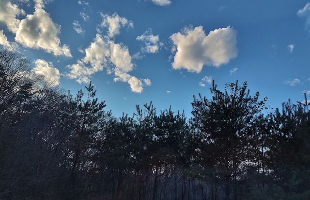 IMG_20221126_150040104_HDR